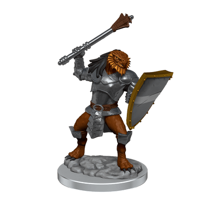 D&D Nolzurs Marvelous Miniatures Dragonborn Clerics