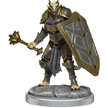 D&D Nolzurs Marvelous Miniatures Dragonborn Clerics