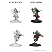 D&D Nolzurs Marvelous Unpainted Miniatures Air Genasi Female Rogue Dungeons & Dragons
