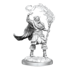 D&D Nolzurs Marvelous Unpainted Miniatures Elf Cleric Male Dungeons & Dragons