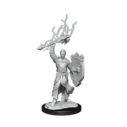 D&D Nolzurs Marvelous Unpainted Miniatures Half-Elf Paladin Male Dungeons & Dragons