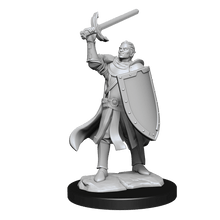 D&D Nolzurs Marvelous Unpainted Miniatures Half-Elf Paladin Male Dungeons & Dragons