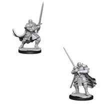 D&D Nolzurs Marvelous Unpainted Miniatures Half-Orc Paladin Male Dungeons & Dragons