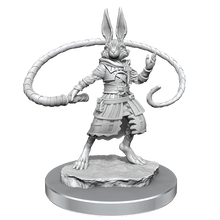 D&D Nolzurs Marvelous Unpainted Miniatures Harengon Rogues Dungeons & Dragons