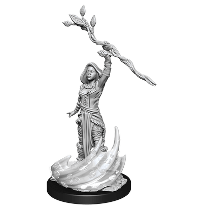 D&D Nolzurs Marvelous Unpainted Miniatures Human Druid Female Dungeons & Dragons