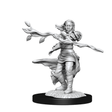 D&D Nolzurs Marvelous Unpainted Miniatures Human Druid Female Dungeons & Dragons