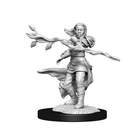 D&D Nolzurs Marvelous Unpainted Miniatures Human Druid Female Dungeons & Dragons