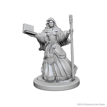 D&D Nolzurs Marvelous Unpainted Miniatures Human Female Wizard Dungeons & Dragons