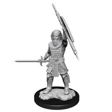 D&D Nolzurs Marvelous Unpainted Miniatures Human Male Fighter Dungeons & Dragons