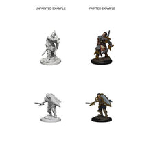 D&D Nolzurs Marvelous Unpainted Miniatures Human Male Paladin Dungeons & Dragons
