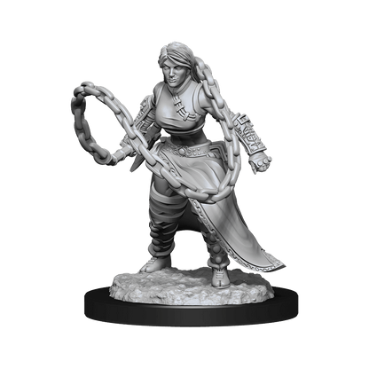D&D Nolzurs Marvelous Unpainted Miniatures Human Monk Female Dungeons & Dragons