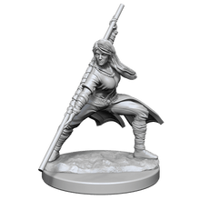 D&D Nolzurs Marvelous Unpainted Miniatures Human Monk Female Dungeons & Dragons