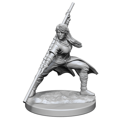 D&D Nolzurs Marvelous Unpainted Miniatures Human Monk Female Dungeons & Dragons