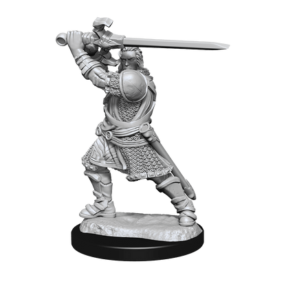 D&D Nolzurs Marvelous Unpainted Miniatures Human Paladin Male Dungeons & Dragons