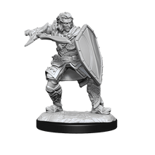D&D Nolzurs Marvelous Unpainted Miniatures Human Paladin Male Dungeons & Dragons