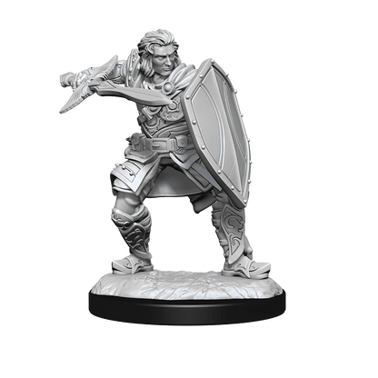 D&D Nolzurs Marvelous Unpainted Miniatures Human Paladin Male Dungeons & Dragons