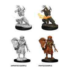 D&D Nolzurs Marvelous Unpainted Miniatures Male Human Druid Dungeons & Dragons