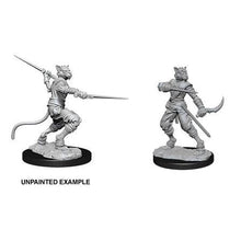 D&D Nolzurs Marvelous Unpainted Miniatures Male Tabaxi Rogue Dungeons & Dragons