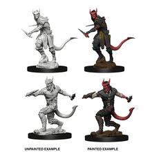 D&D Nolzurs Marvelous Unpainted Miniatures Tiefling Male Rogue Dungeons & Dragons