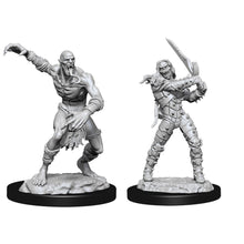 D&D Nolzurs Marvelous Unpainted Miniatures Wight and Ghast Dungeons & Dragons