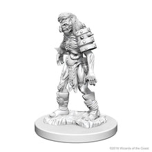D&D Nolzurs Marvelous Unpainted Miniatures Zombies Dungeons & Dragons