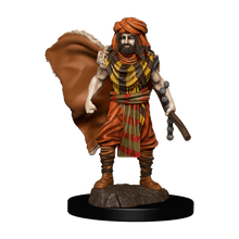 D&D Premium Painted Figures Human Druid Male Dungeons & Dragons