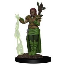 D&D Premium Painted Figures Human Female Druid Dungeons & Dragons