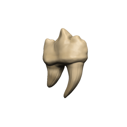 Dungeons & Dragons Teeth of Dahlver-Nar Bite-Sized Artifact