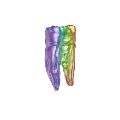 Dungeons & Dragons Teeth of Dahlver-Nar Bite-Sized Artifact