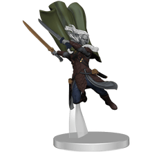 Magic The Gathering Miniatures Adventures in the Forgotten Realms Companions of the Hall Starter