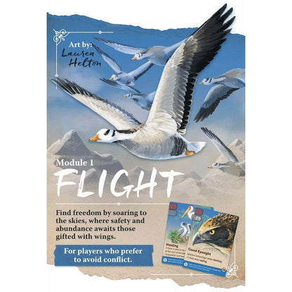 Nature - Module 1 - Flight Board Game