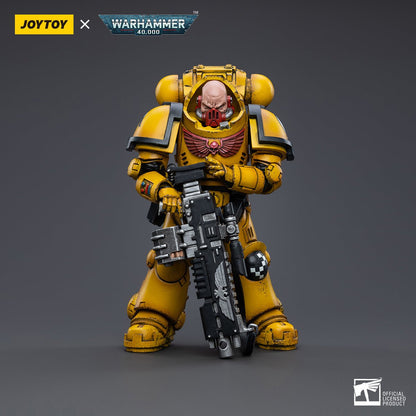 Warhammer Collectibles: 1/18 Scale Imperial Fists Heavy Intercessors 2