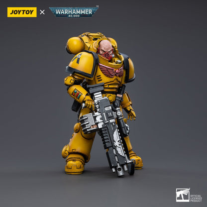 Warhammer Collectibles: 1/18 Scale Imperial Fists Heavy Intercessors 2